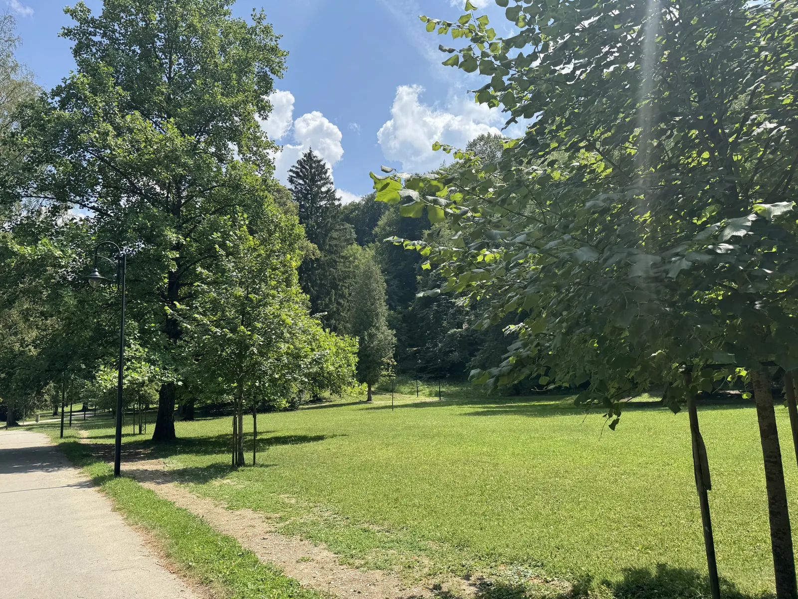 Kúpeľný park s trávnikom a vzrastlými stromami
